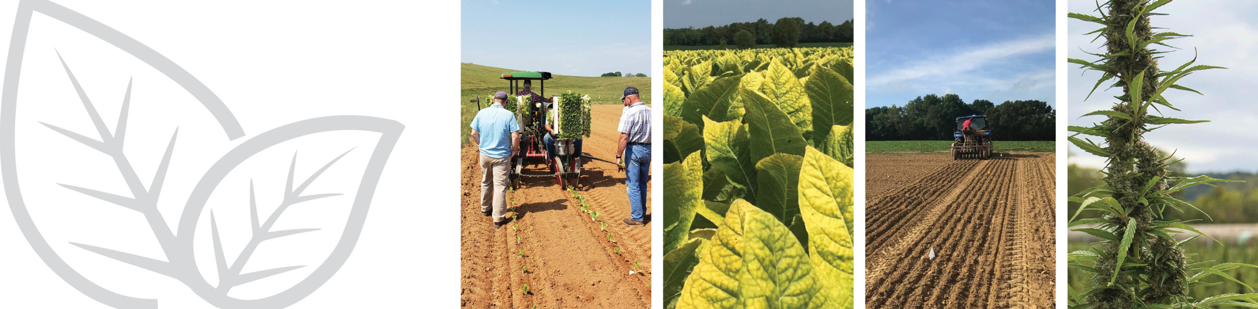 Specialty Crops Specialty Crops